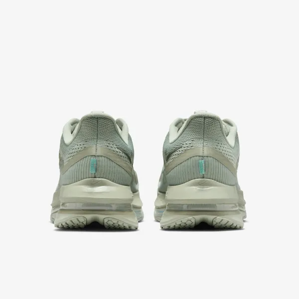 Nike Pegasus Premium 