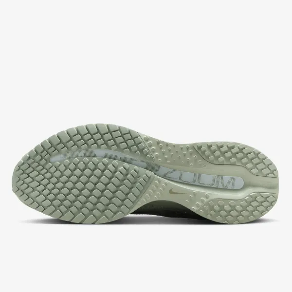 Nike Pegasus Premium 