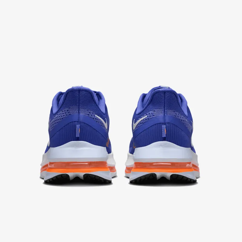 Nike NIKE PEGASUS PREMIUM 