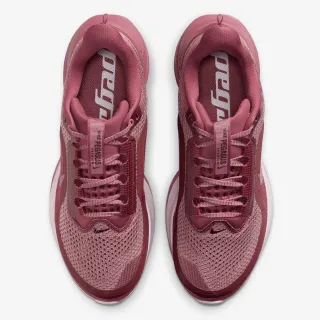Nike W NIKE PEGASUS PREMIUM 