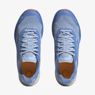 adidas TERREX AGRAVIC FLOW 2 GTX W 