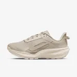 Nike Pegasus 