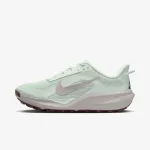 Nike ACG Pegasus Trail 