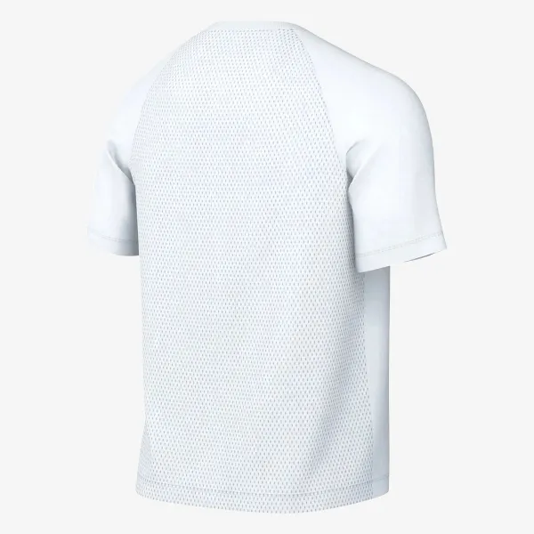 Nike M NK DF PARK VIII JSY SS 