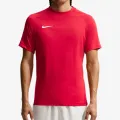 Nike M NK DF PARK VIII JSY SS 