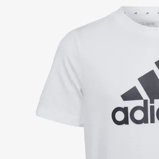 adidas Big logo 