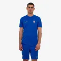 Nike FFF Strike 