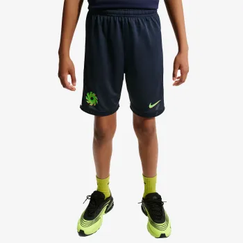 Nike Academy 25 