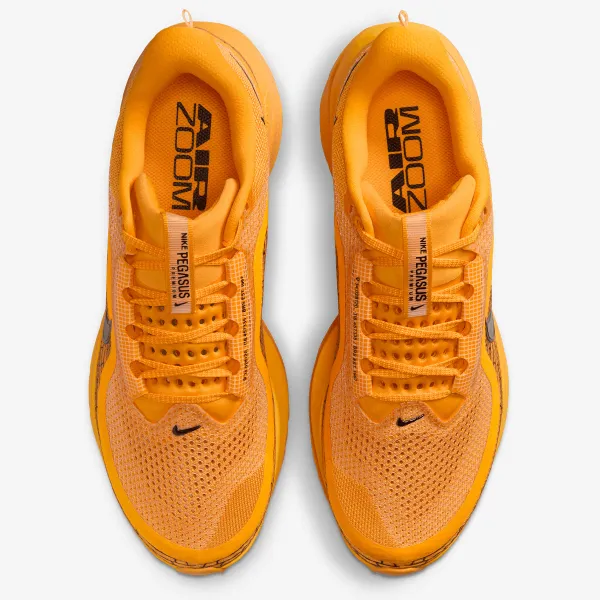 Nike Pegasus Premium 