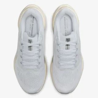 Nike Air Zoom Pegasus 41 