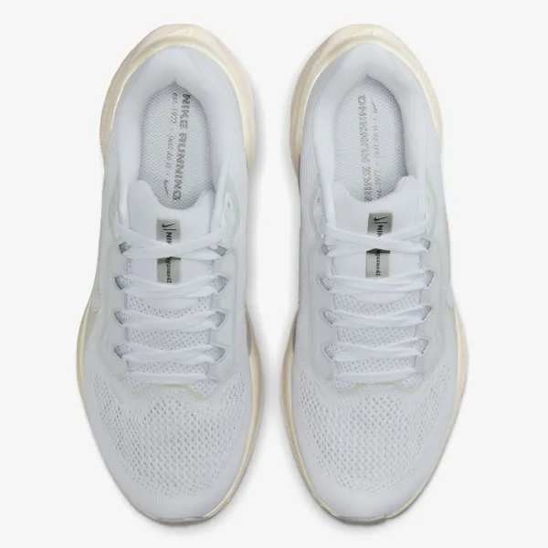 Nike Air Zoom Pegasus 41 