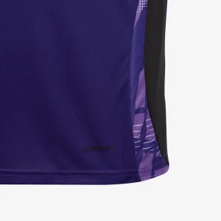 adidas Germany Tiro 24 