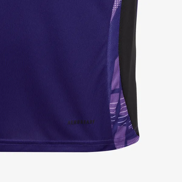 adidas Germany Tiro 24 