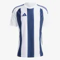 adidas STRIPED 24 JSY 