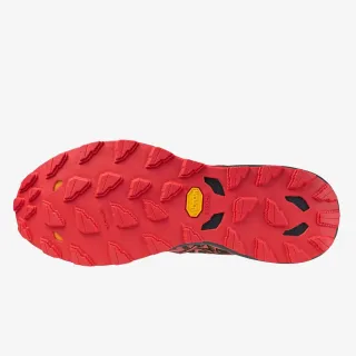 Mizuno Wave Daichi 8 