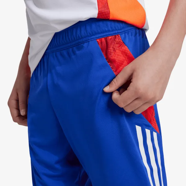 adidas TIRO24 C TRSHOY 