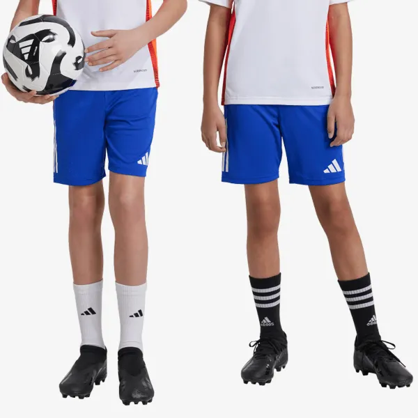 adidas TIRO24 C TRSHOY 