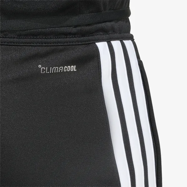 adidas TIRO26L  TRPNTS 