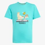adidas Minecraft Terrex 