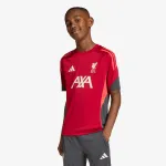 adidas Liverpool FC Tiro 25 Competition Training 