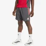 adidas Liverpool FC Tiro 25 Competition Training 