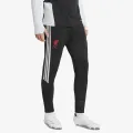 adidas LFC TR PNT 