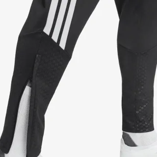 adidas LFC TR PNT 