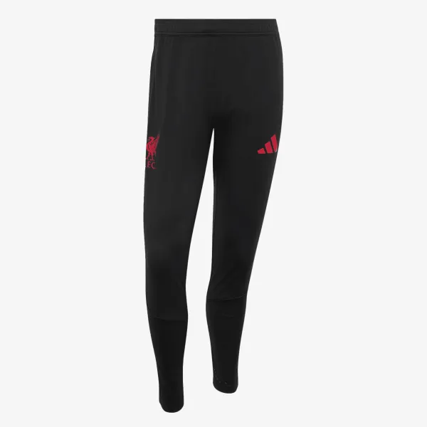 adidas LFC TR PNT 