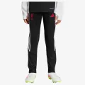 adidas LFC TR PNTY 