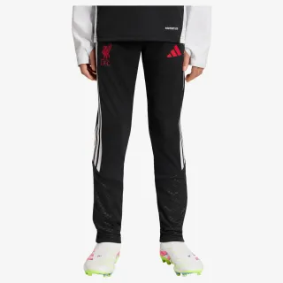 adidas LFC TR PNTY 