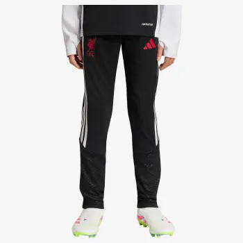 adidas LFC TR PNTY 