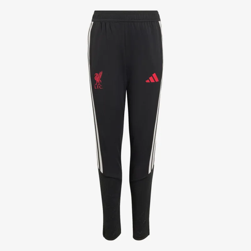 adidas LFC TR PNTY 