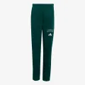 adidas J CLGT FL PNT 