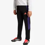 adidas TIRO26L  TRPTYS 
