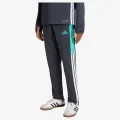 adidas TIRO ES WINPNTY 