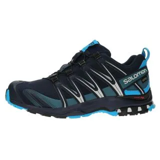 Salomon XA PRO 3D GTX 