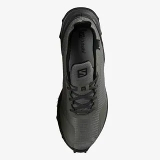 Salomon ALPHACROSS GTX 