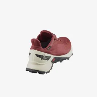 Salomon ALPHACROSS BLAST GTX W 