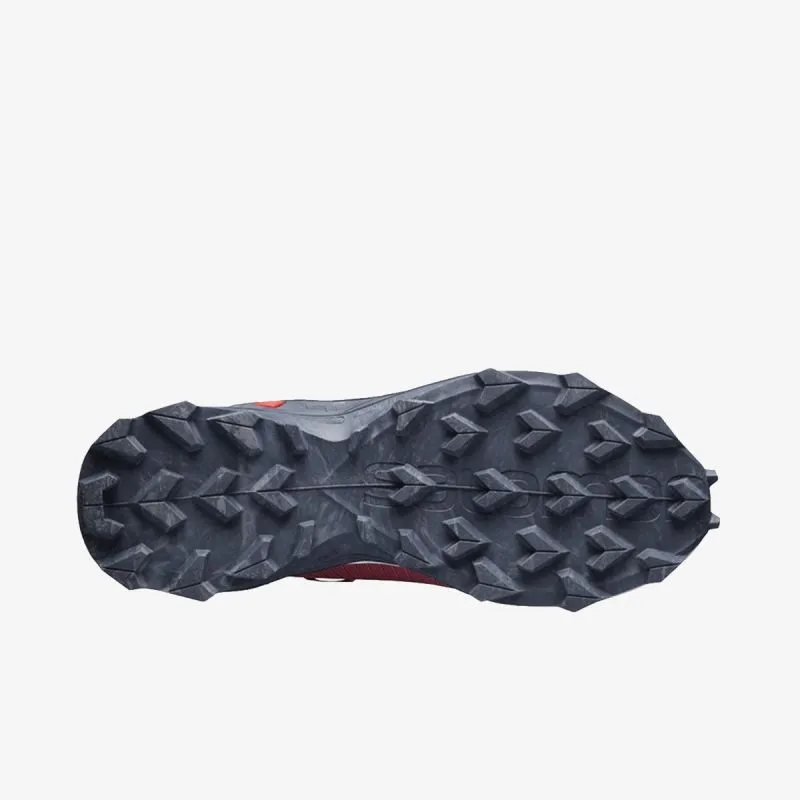 Salomon ALPHACROSS BLAST GTX W 