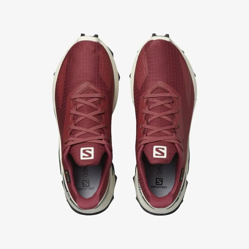 Salomon ALPHACROSS BLAST GTX W 