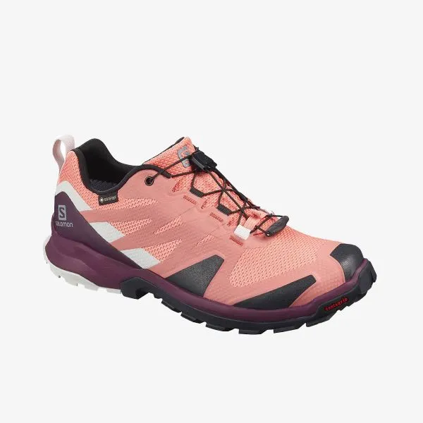 Salomon XA ROGG GTX W 