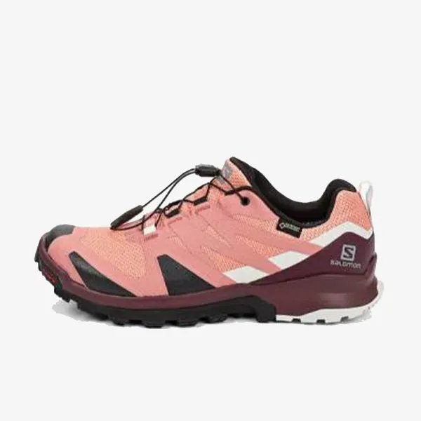 Salomon XA ROGG GTX W 