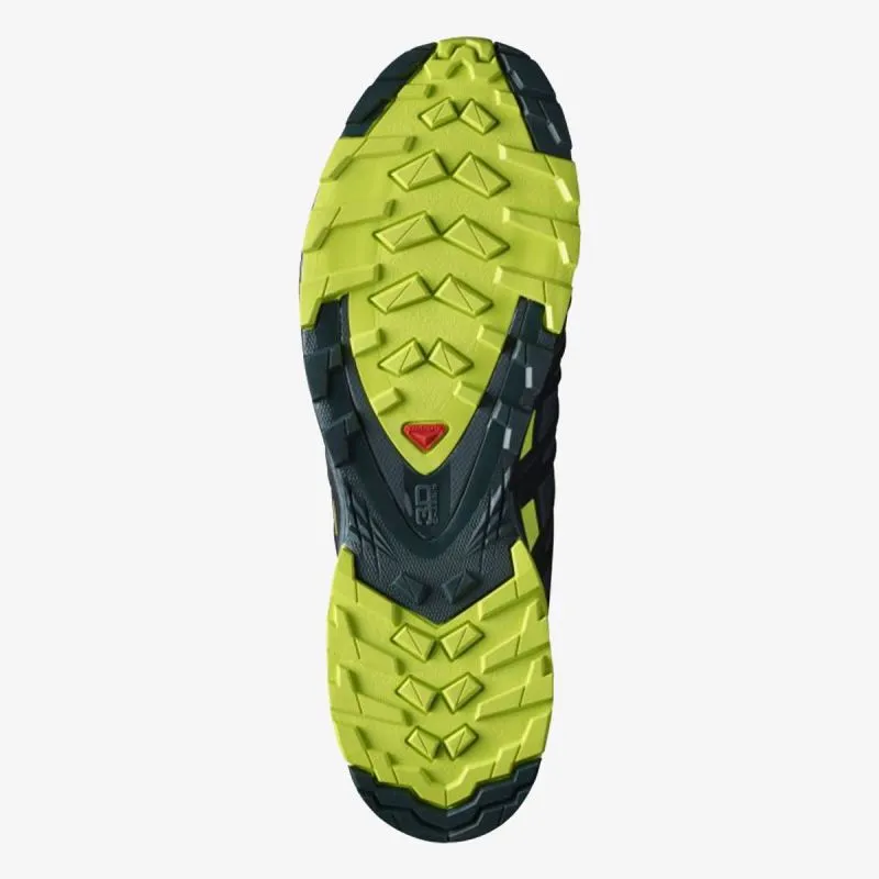 Salomon XA PRO 3D v8 GTX 