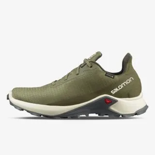 Salomon ALPHACROSS 3 GTX 