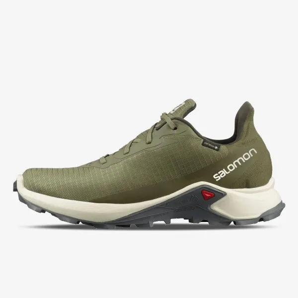 Salomon ALPHACROSS 3 GTX 