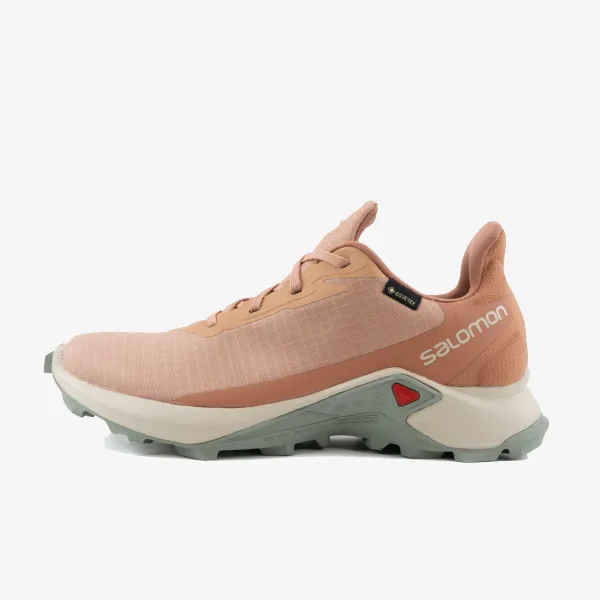 Salomon ALPHACROSS 3 GTX 