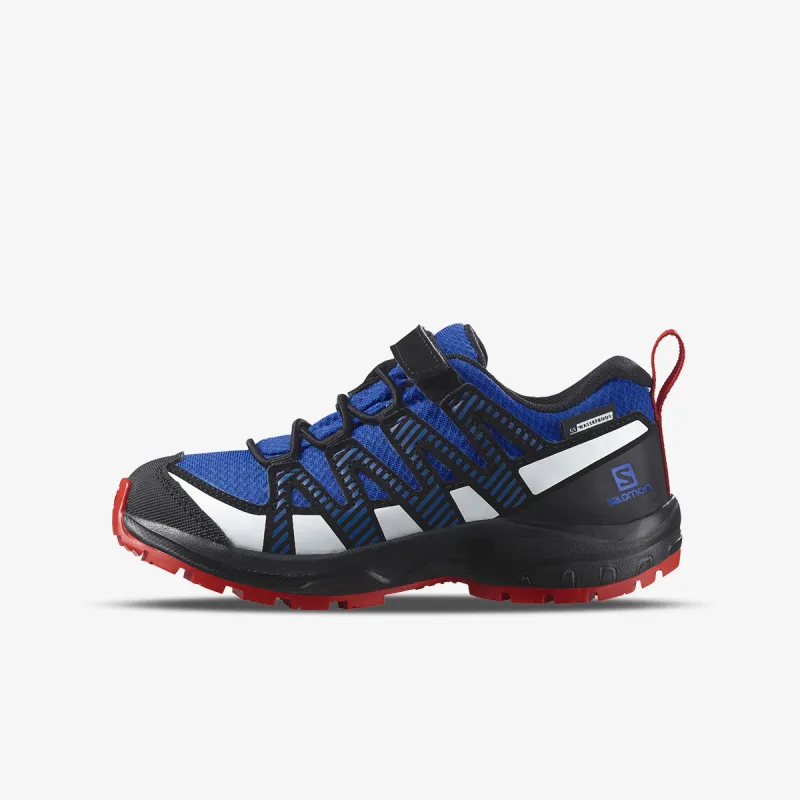 Salomon Xa Pro V8 