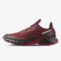 Salomon Alphacross 5 