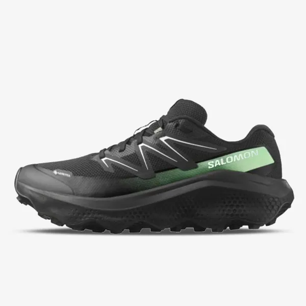 Salomon ULTRA FLOW 2 GTX Blac 