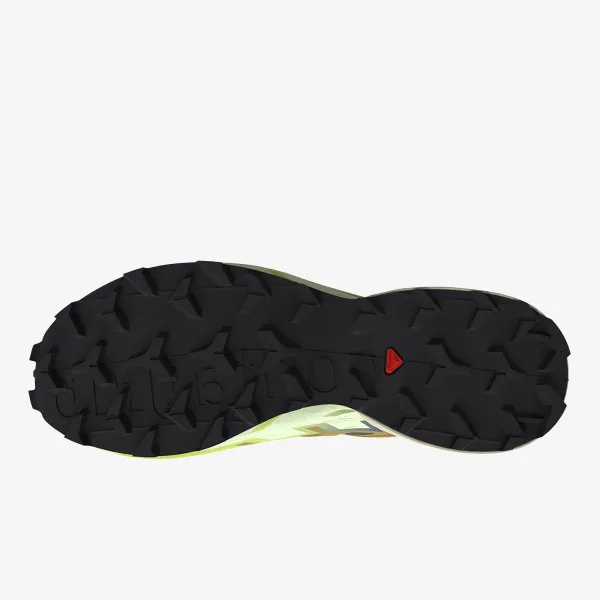Salomon Speedcross 6 GTX 